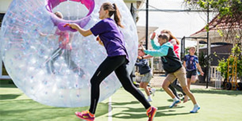 Giant Hamster Ball